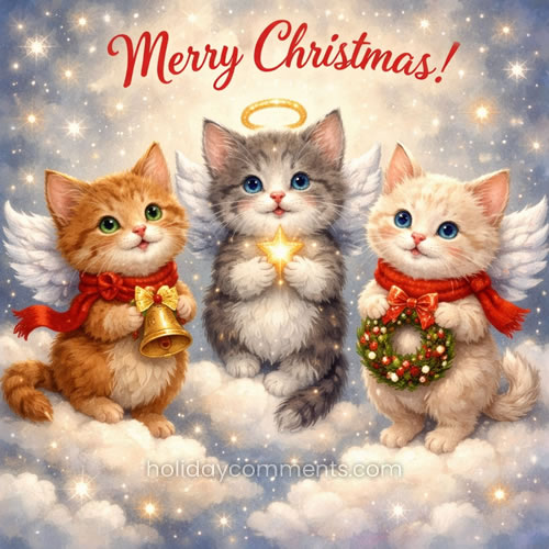 Christmas Cat Angels Christmas image to share