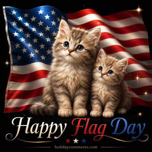 Flag Day Cats Flag Day image to share