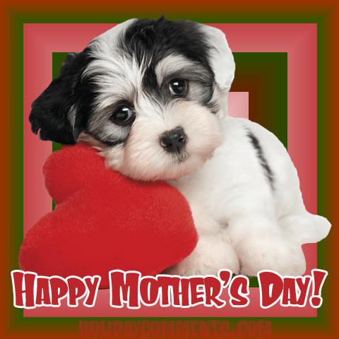 Mother's Day Pup Mothers Day image to share