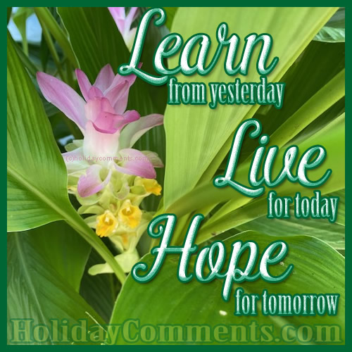 Learn, Live and Hope Quotes image to share