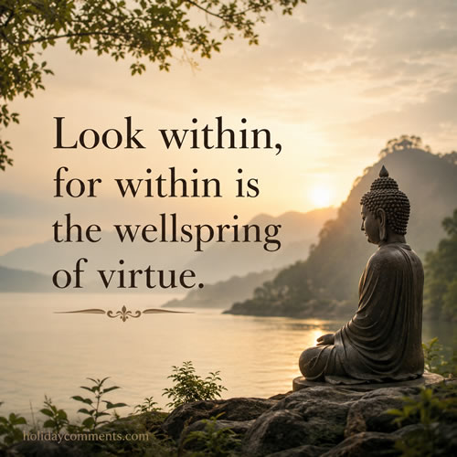 Look Within Quotes image to share