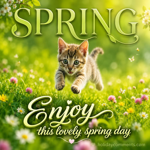 Lovely Spring Cat Spring image to share