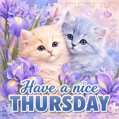 Have a Nice Thursday Kittens Thursday image to share