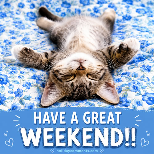Cat Relaxing Weekend image to share