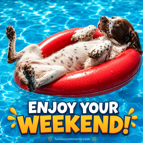 Dog on Raft Weekend image to share